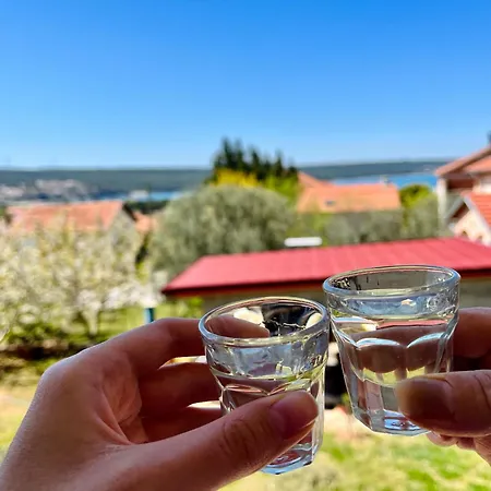 Stela Apartament *