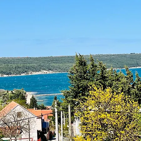 Stela Apartament *